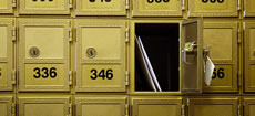 Shipping Coupon